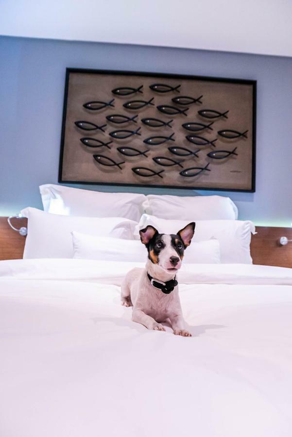 Coro Hotel Μακάτι Εξωτερικό φωτογραφία